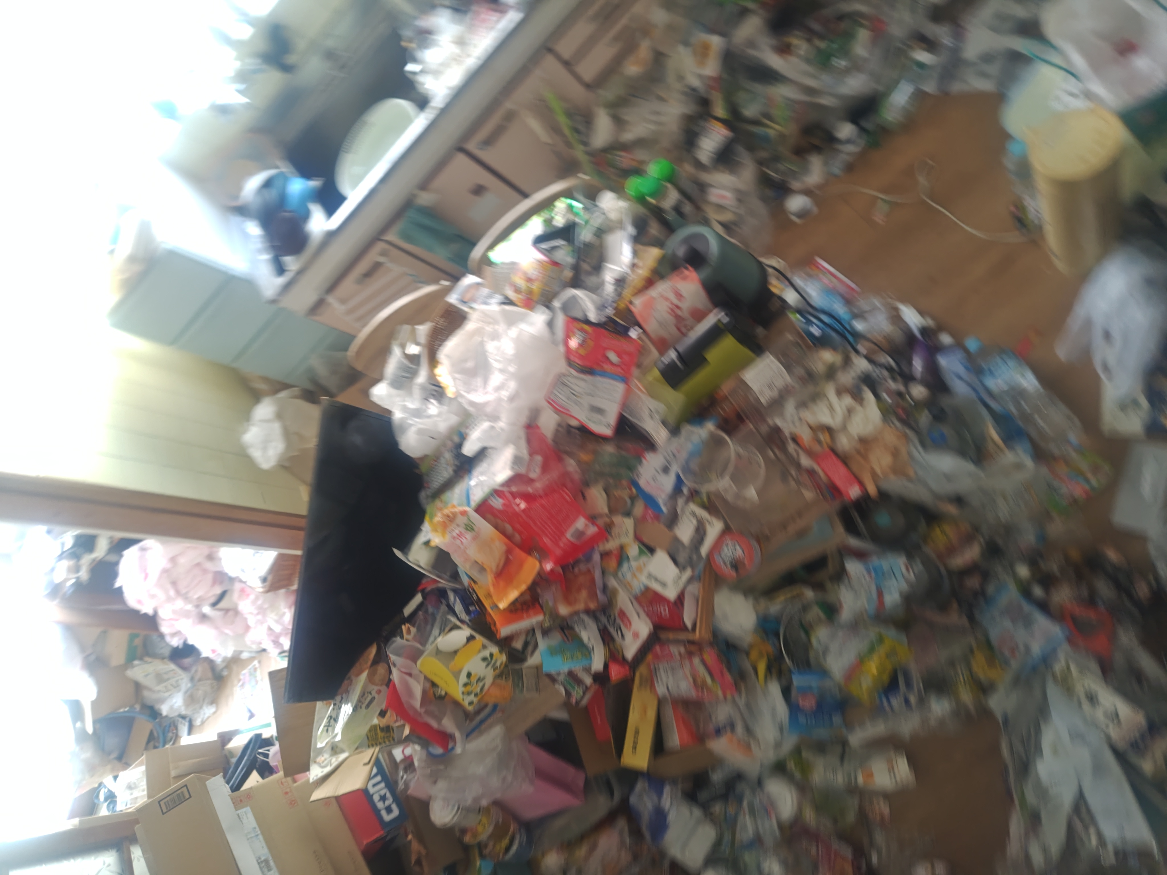 豊中市ゴミ屋敷251030