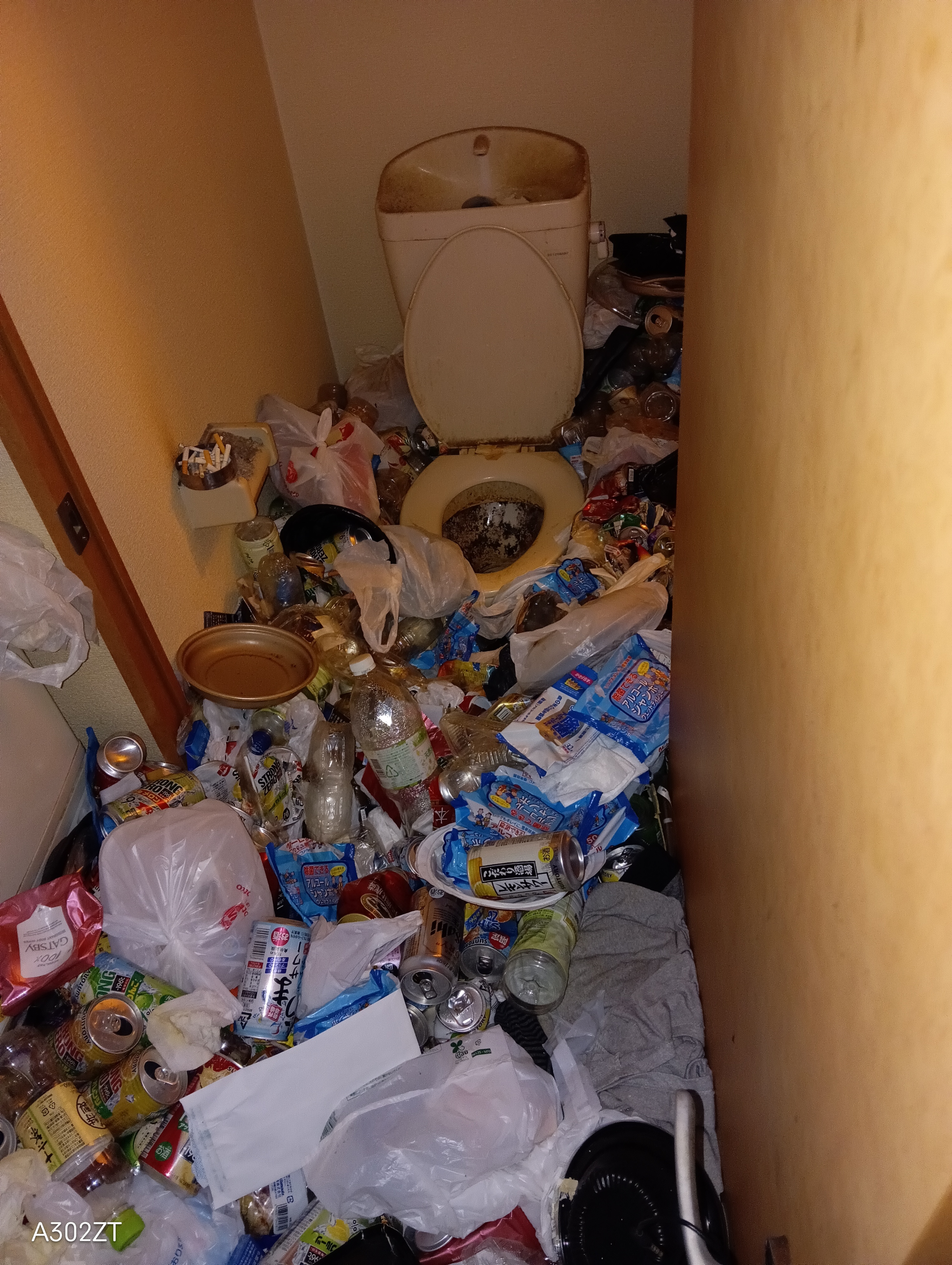 �ޗǃS�~���~011502