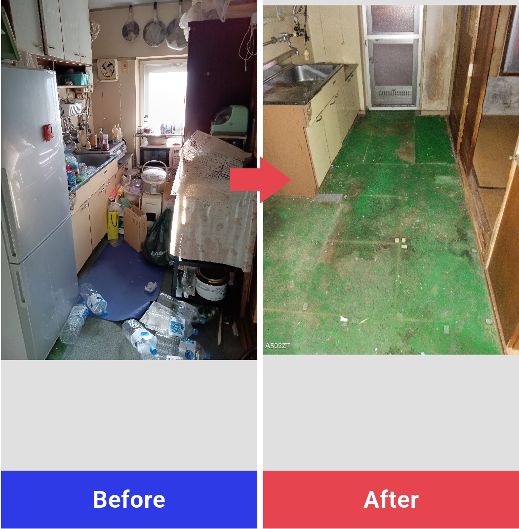 ���{���08021801