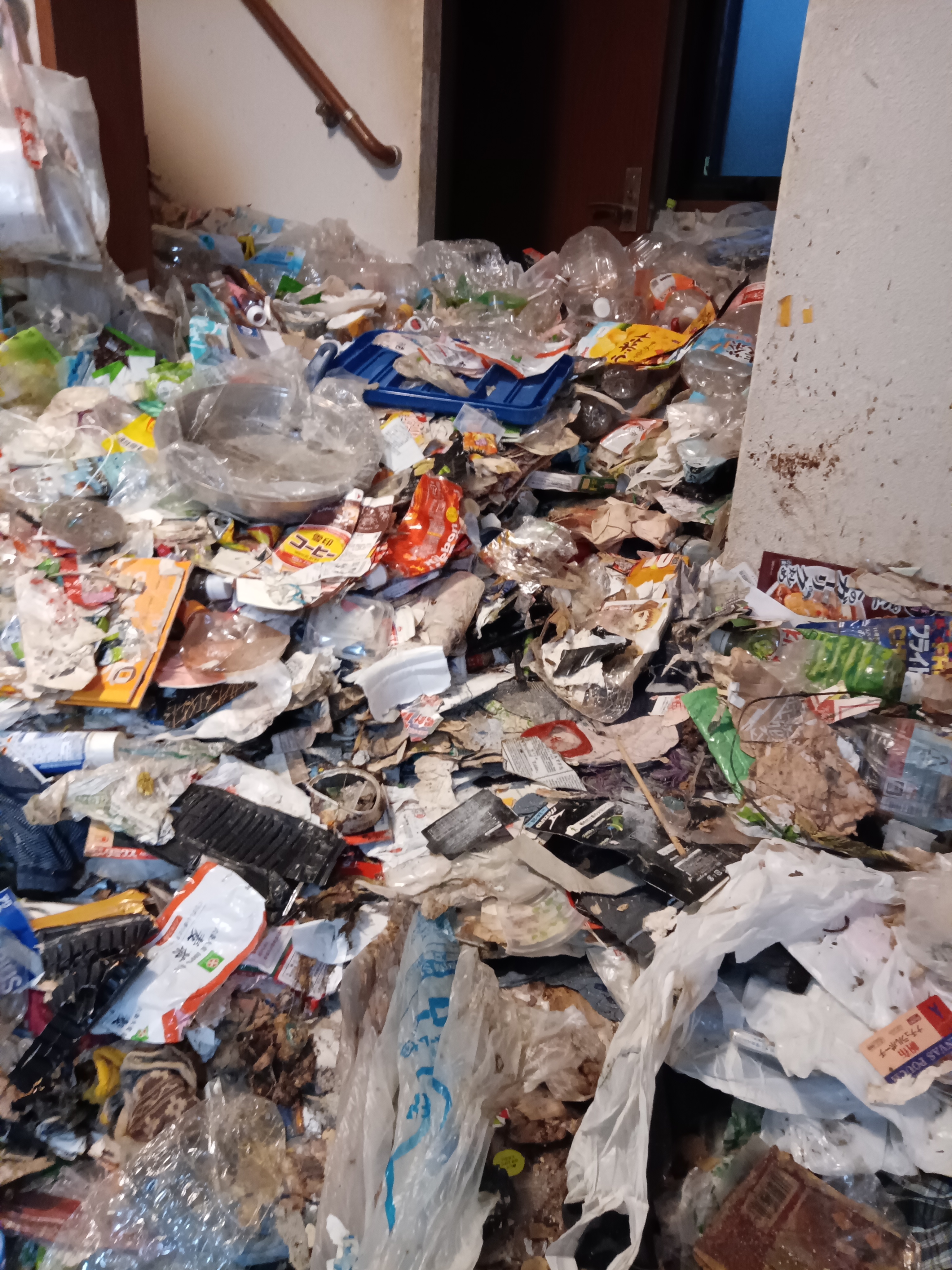 �����S�~���~26042101