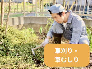 草刈り・草むしり 草刈り・草むしり